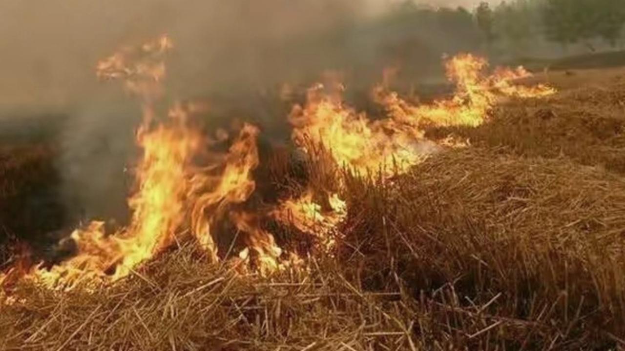 多省探索农村秸秆限时焚烧,多省探索农村秸秆限时焚烧，机遇与挑战，多省农村秸秆限时焚烧，机遇与挑战的探索