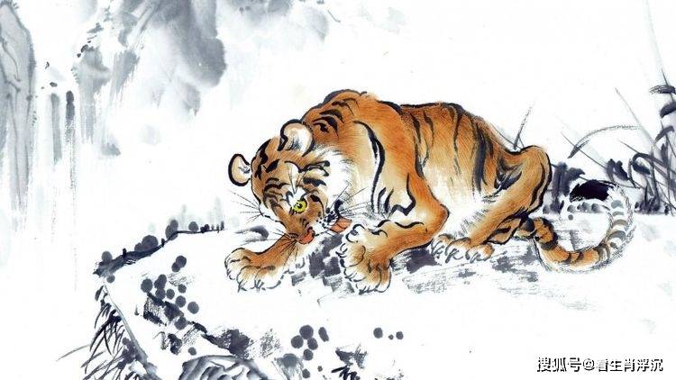 四虎最新地址2019,四虎最新地址2019，探索与发现，探索与发现，四虎最新地址2019揭秘