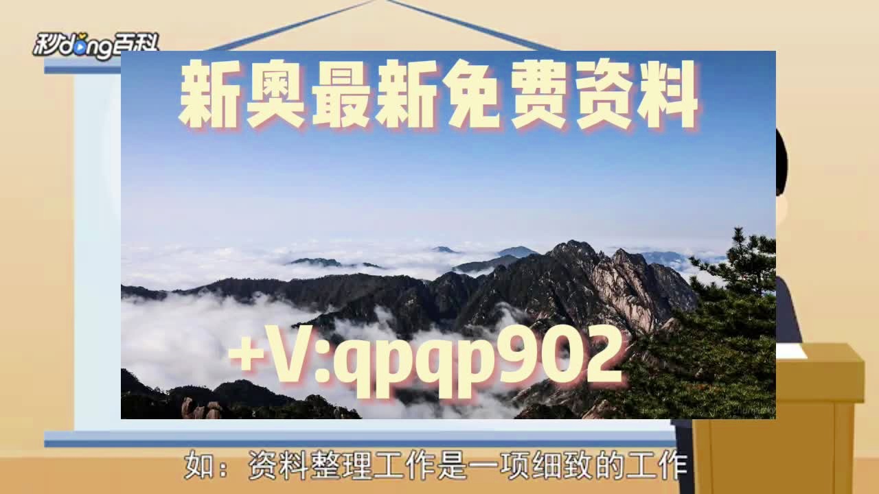 2024正版资料大全免费,全局解答解释落实_复刻版46.331