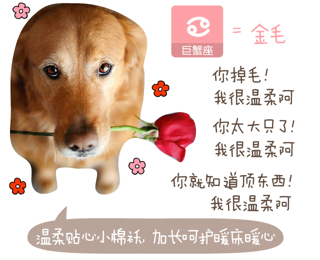 四不像正版+正版四不像,准确解答解释落实_DP91.834