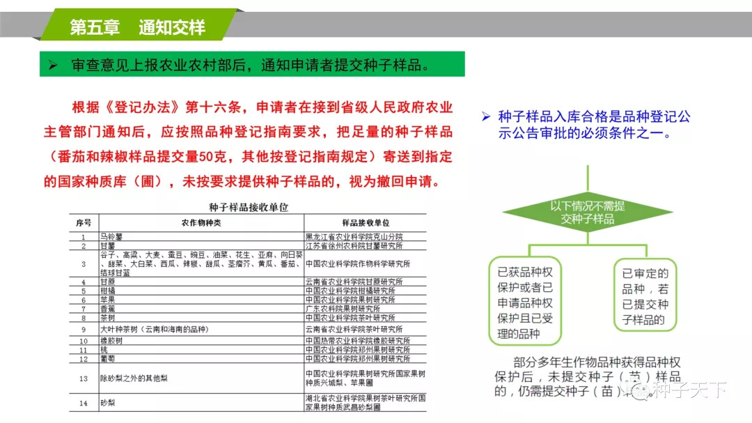 新澳好彩免费资料查询,权威解答解释落实_3D79.989