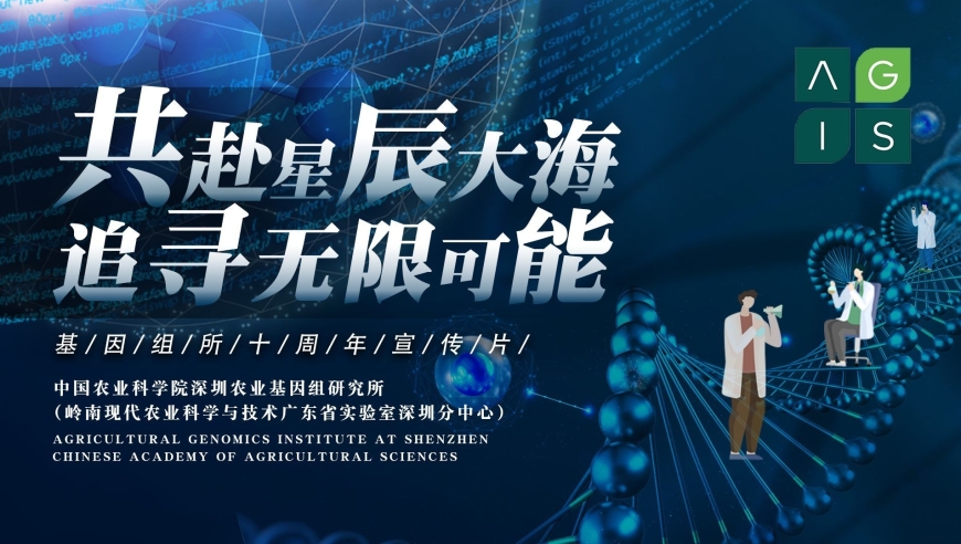 2024澳门天天彩资料大全,可靠性方案设计_用户版84.647