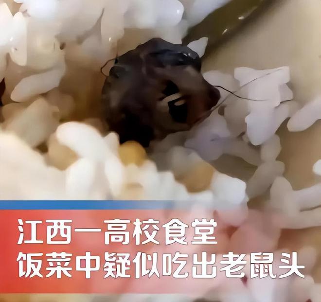 鸭脖事件最新进展,鸭脖事件最新进展，真相揭晓，公众关注得以释怀，鸭脖事件真相揭晓，最新进展引发公众关注释然之日