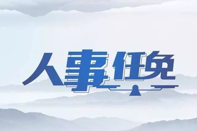 阜阳市最新人事任免,阜阳市最新人事任免动态，阜阳市人事任免最新动态及调整通知