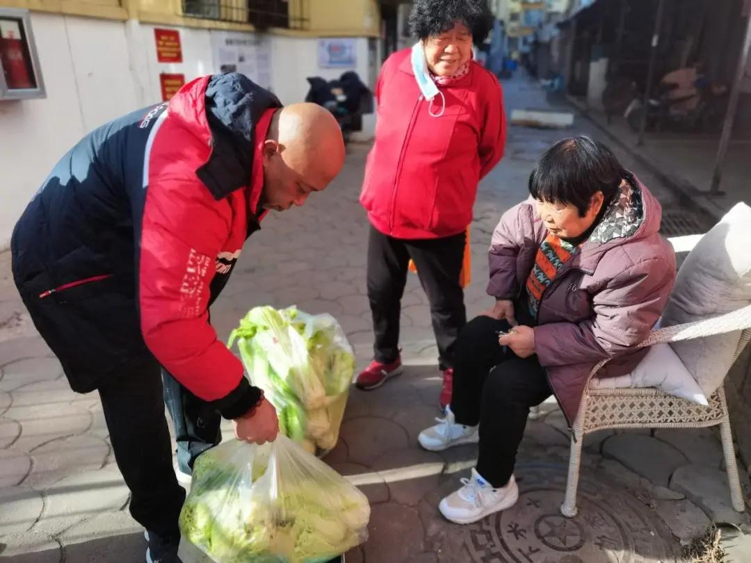祁县大蒜最新价格,祁县大蒜最新价格动态分析，祁县大蒜最新价格动态及分析