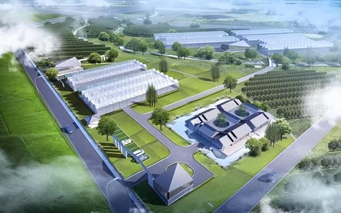 聊城京九高铁最新消息,聊城京九高铁最新消息深度解析