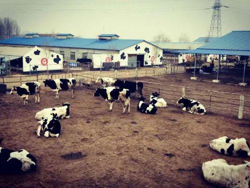 建养殖场的最新政策,建养殖场的最新政策及其对养殖业发展的影响，建养殖场的最新政策及其养殖业发展的深远影响解析