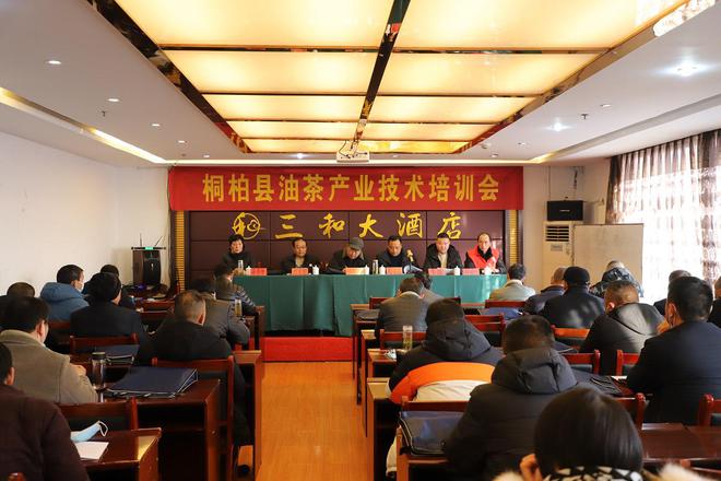 尉氏县搬迁消息最新,尉氏县搬迁消息最新，深度解析与影响展望