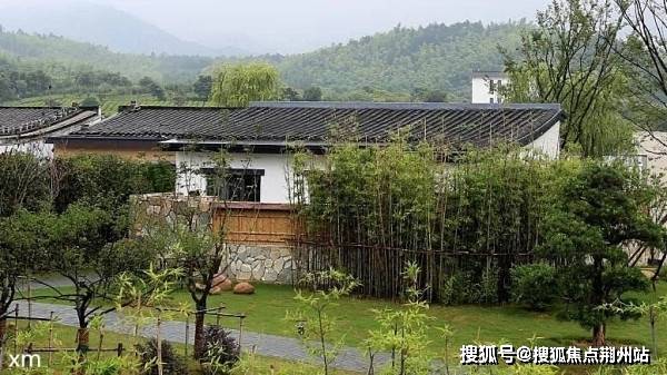 长明公棚最新公告,长明公棚最新公告解析