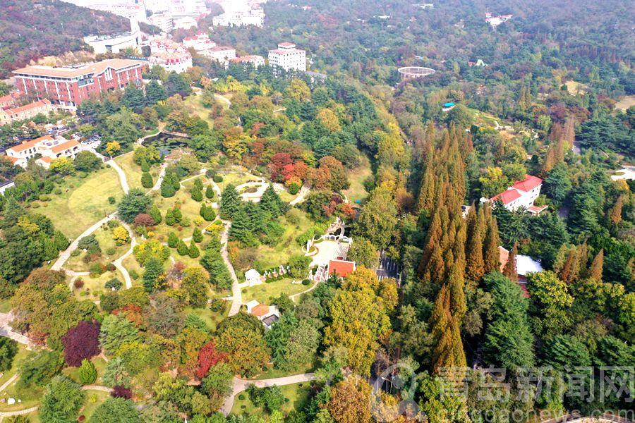 济南中山公园扩建最新,济南中山公园扩建最新动态，济南中山公园扩建最新动态揭秘