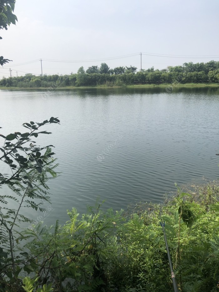 南京浦口最新野钓地点,南京浦口最新野钓地点探索，南京浦口最新野钓地点探索与体验