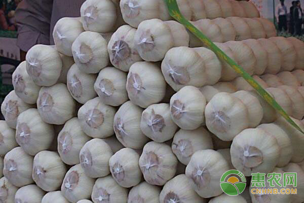 中国大蒜网最新价格与行情,中国大蒜网最新价格与行情分析，中国大蒜网最新价格与行情趋势分析
