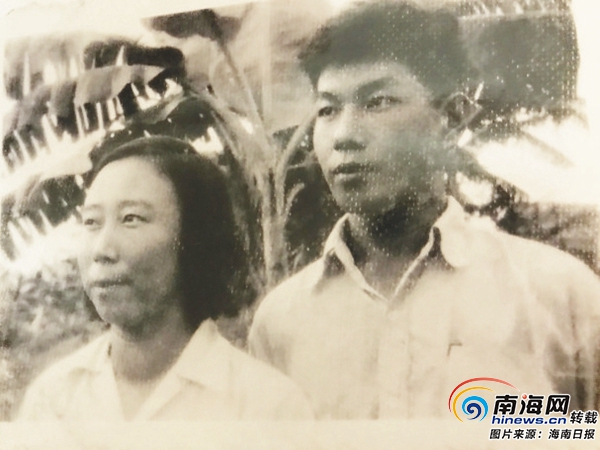 海南橡胶最新价格,海南橡胶最新价格动态分析，海南橡胶最新价格及动态分析