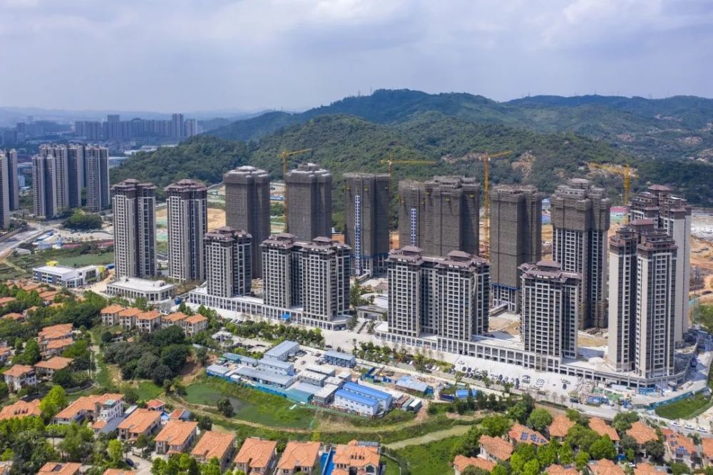 新塘房价最新价格,新塘房价最新价格动态及分析，新塘房价最新动态及分析报告