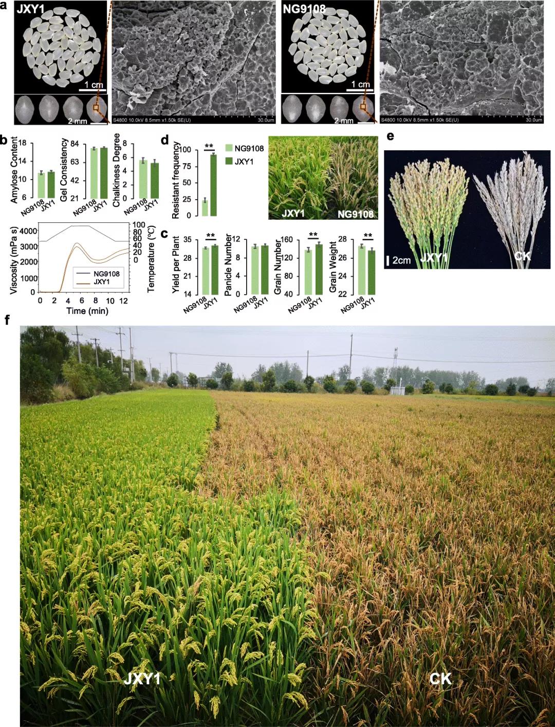 基因编辑技术最新突破,基因编辑技术最新突破，开启生命科学的崭新篇章，基因编辑技术的新突破，开启生命科学新篇章