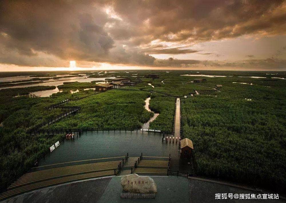启东绿地长岛最新价格,启东绿地长岛最新价格动态分析