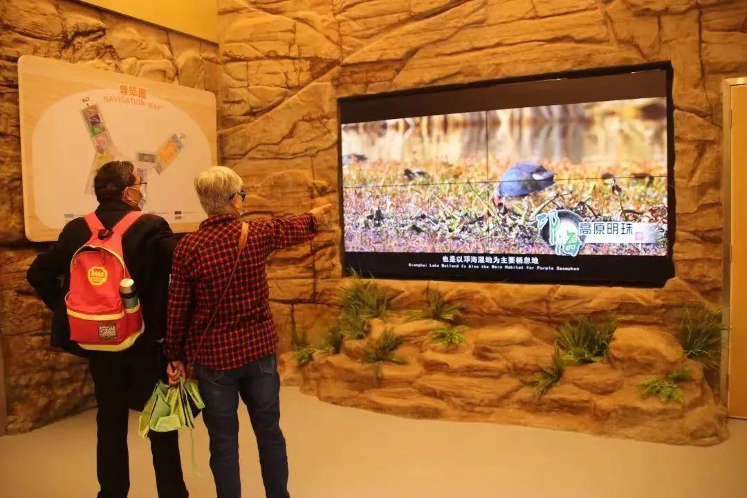 中国宣教舞蹈最新舞蹈,中国宣教舞蹈的最新发展，探索最新舞蹈的魅力和意义，中国宣教舞蹈的最新发展，探索魅力与意义