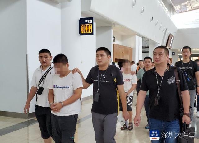 深圳龙岗最新诈骗案,深圳龙岗最新诈骗案揭秘