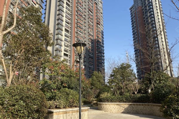 盐城文泽府邸最新房价,盐城文泽府邸最新房价动态分析
