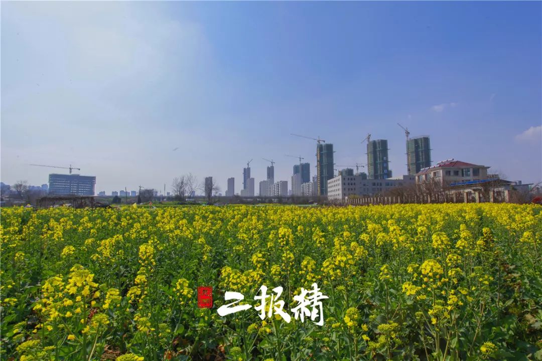芜湖元亩塘最新消息,芜湖元亩塘最新消息，揭开这片土地的新篇章，芜湖元亩塘新篇章揭晓，最新动态与发展消息速递