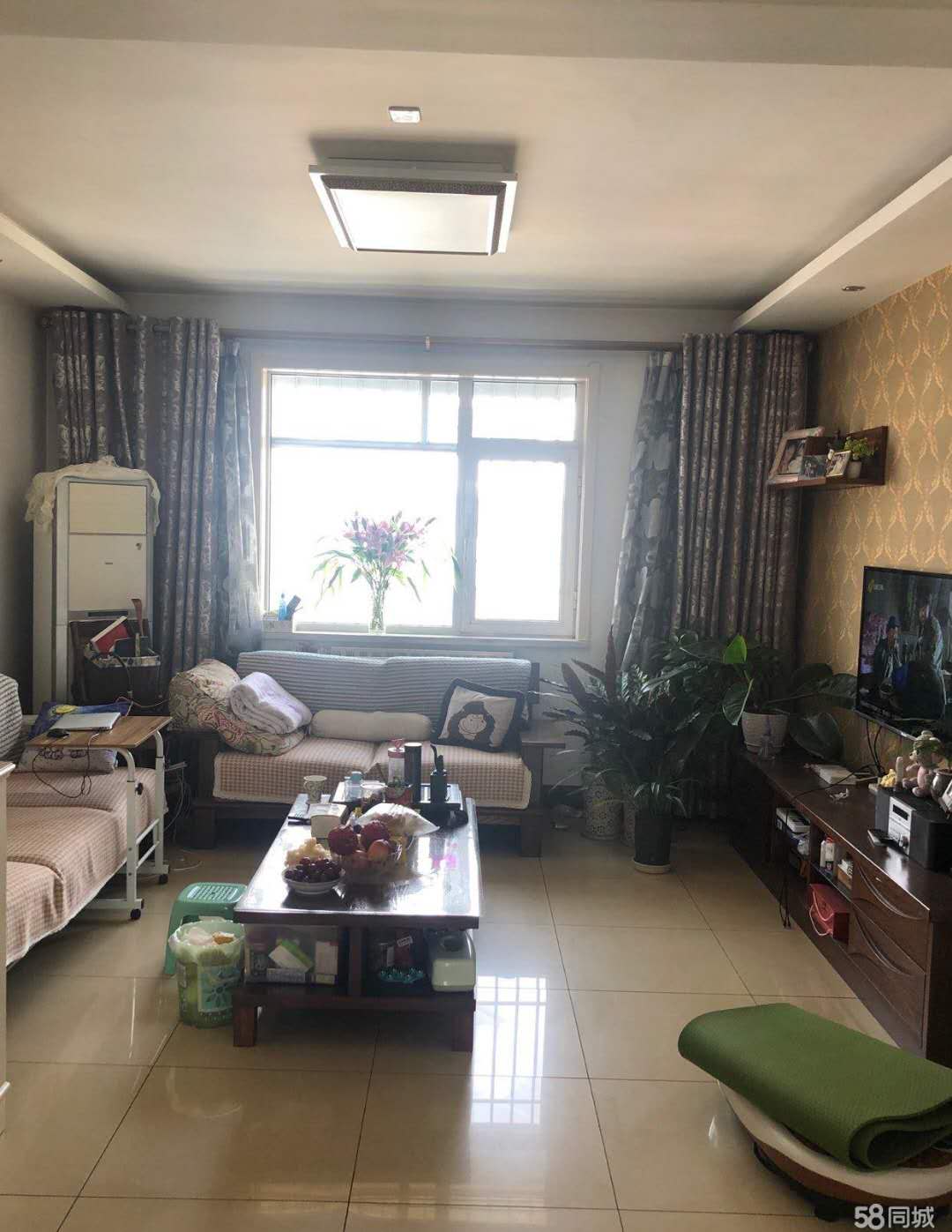 平原二手房最新出售,平原二手房最新出售，市场趋势与购房指南，平原二手房最新出售信息，市场趋势与购房指南全解析