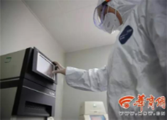 3d最新试机号是多少,探索最新3D试机号的世界，揭秘数字背后的奥秘