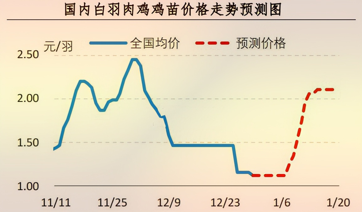 今日鸡苗最新报价,今日鸡苗最新报价及市场动态分析，今日鸡苗最新报价与市场动态分析摘要