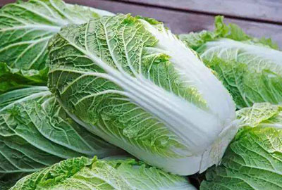今日白菜价格最新行情,今日白菜价格最新行情分析，今日白菜价格行情概览与分析