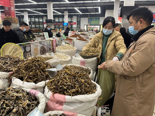 胡椒最新价格,胡椒最新价格分析与市场动态，胡椒最新价格动态，市场分析与市场趋势
