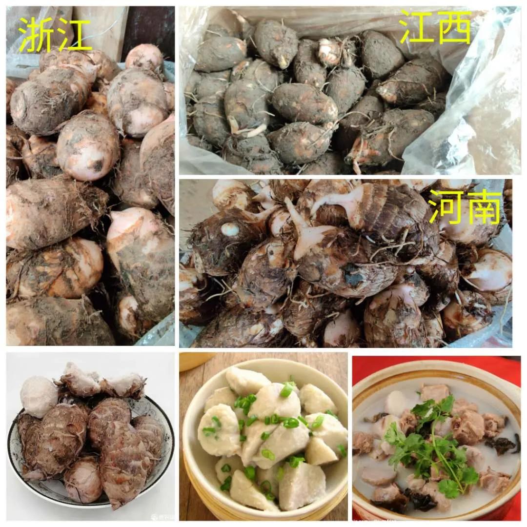莴笋价格最新行情,莴笋价格最新行情分析，莴笋价格最新行情及分析
