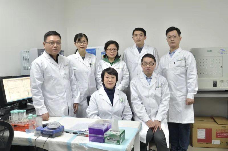 股份公司上市条件,股份公司上市条件深度解析，股份公司上市条件深度解析与探讨