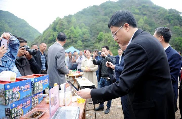 三门横渡镇最新消息,三门横渡镇最新消息深度解析，三门横渡镇最新消息深度解析与概述