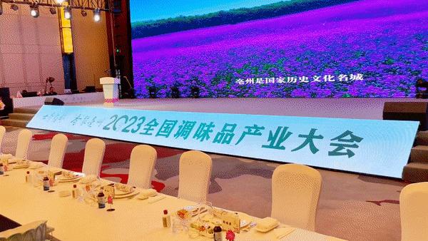 正宇集团最新状况,正宇集团最新状况探析，正宇集团最新状况深度解析