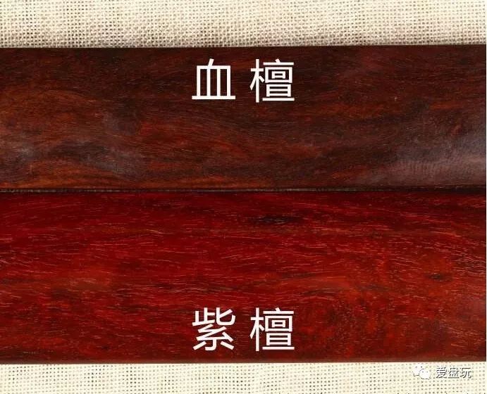 血檀最新价格,血檀最新价格动态及市场分析，血檀最新价格动态与市场价格分析