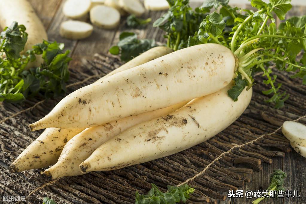 广东土豆价格最新行情,广东土豆价格最新行情分析，广东土豆最新价格行情及分析