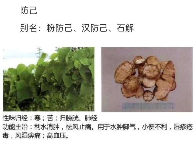 粉防己的最新价格,粉防己的最新价格动态及其市场影响，粉防己最新价格动态及市场影响分析