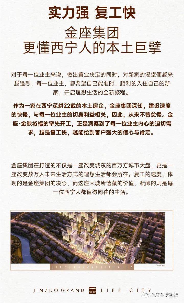 金座最新消息,金座最新消息全面解读，金座最新消息全面解读与分析