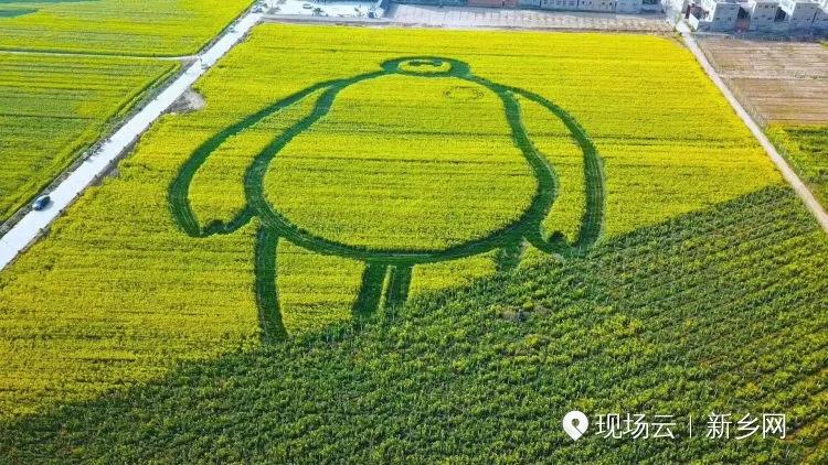 清风新乡最新消息,清风新乡最新消息全面解读，清风新乡最新动态全面解读