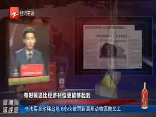 小强热线最新一期,小强热线最新一期，深度解析时事热点，聚焦民生关切，小强热线最新一期深度解析时事热点，聚焦民生关切聚焦报道