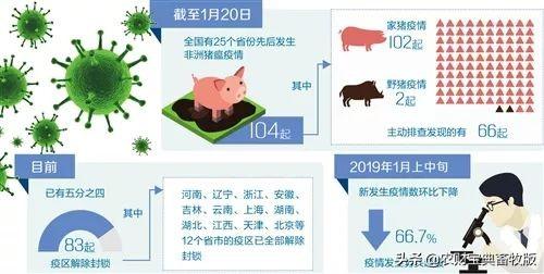猪的最新疫情,猪的最新疫情，影响、防控与未来展望，猪的最新疫情，影响、防控与未来展望分析