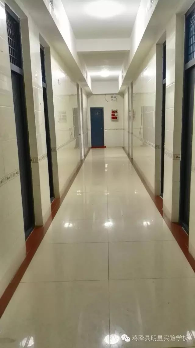 鸡泽最新招聘,鸡泽最新招聘动态及求职指南，鸡泽最新招聘信息与求职指南