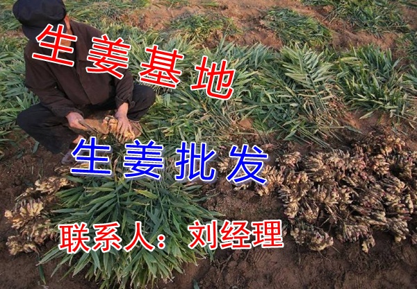 德州锐航机电 第14页