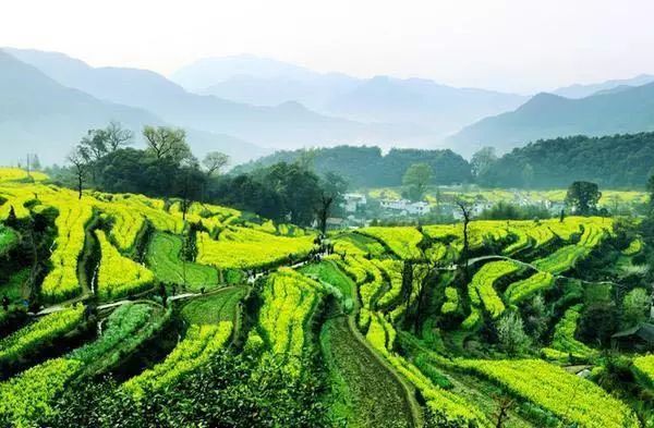 婺源最新消息,婺源最新消息，文化与自然的融合，打造全新旅游胜地，婺源文化与自然融合，打造全新旅游胜地最新消息揭秘