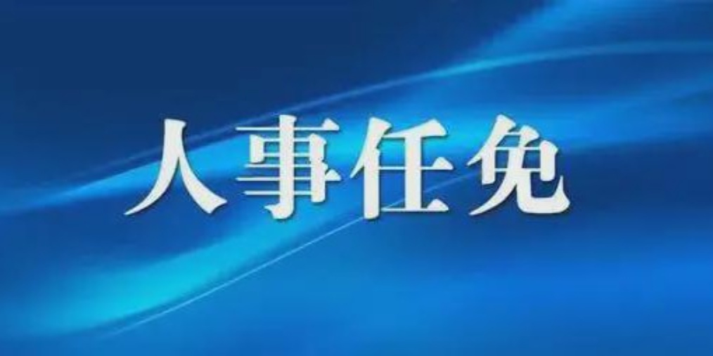 自贡最新干部任免,自贡最新干部任免动态，自贡最新干部任免动态更新