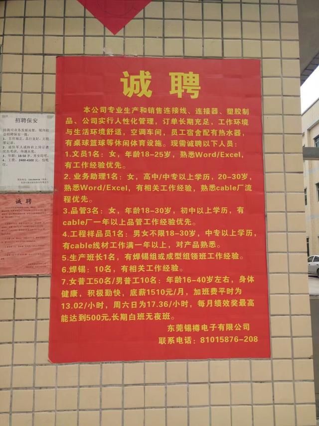 电白水东最新招聘,电白水东最新招聘动态及职业机会探讨，电白水东最新招聘动态与职业机会探讨