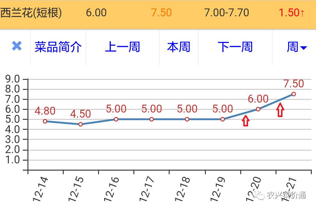 广东菜心价格最新价格,广东菜心价格最新行情分析，广东菜心最新价格行情及分析