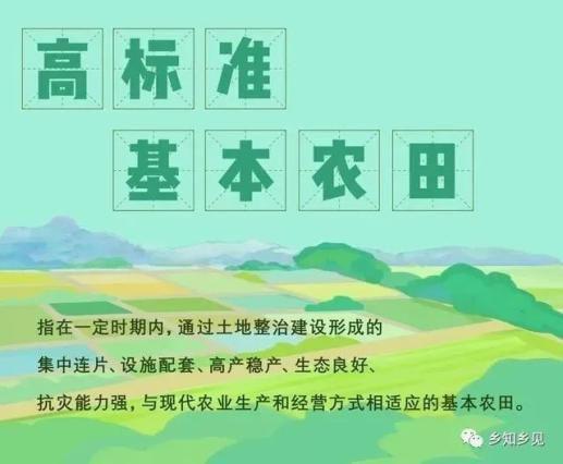 基本农田保护条例最新,基本农田保护条例最新解读与探讨，基本农田保护条例最新解读与探讨，保护农业用地，确保粮食安全之路
